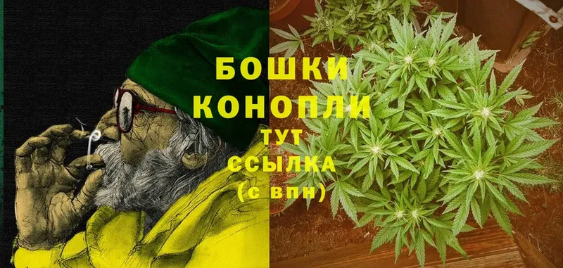 Канабис Ganja  Дубна 